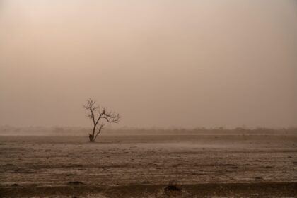 Dry farmland, Australia.