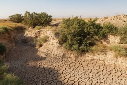 A cracked riverbed stretches across parched earth.