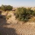 A cracked riverbed stretches across parched earth.
