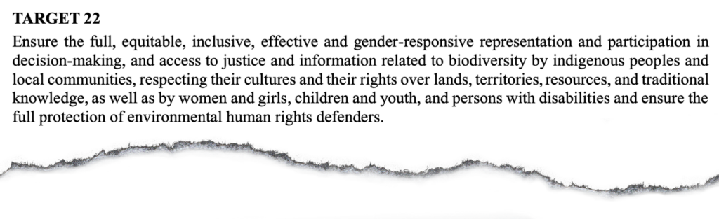 Target 22 of the Kunming-Montreal Global Biodiversity Framework also acknowledges the participation of women, girls, children and youth in decision-making. 